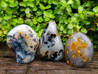 Polished Dendritic Agate Standing Free Forms x 3 From Moralambo, Madagascar
