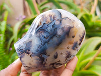 Polished Dendritic Agate Standing Free Forms x 3 From Moralambo, Madagascar