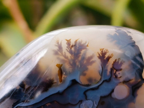 Polished Dendritic Agate Standing Free Forms x 3 From Moralambo, Madagascar