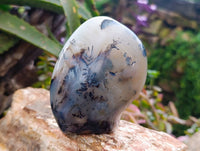 Polished Dendritic Agate Standing Free Forms x 3 From Moralambo, Madagascar