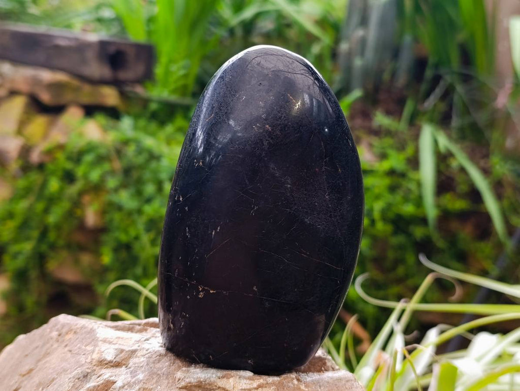 Polished Black Tourmaline Standing Free Forms x 2 From Madagascar - Toprock Gemstones and Minerals 