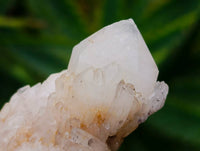 Natural Quartz Crystal Clusters x 6 From Madagascar