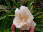 Natural Quartz Crystal Clusters x 6 From Madagascar - Toprock Gemstones and Minerals 