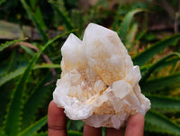 Natural Quartz Crystal Clusters x 6 From Madagascar