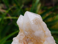 Natural Quartz Crystal Clusters x 6 From Madagascar