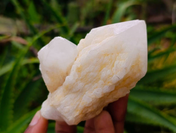 Natural Quartz Crystal Clusters x 6 From Madagascar