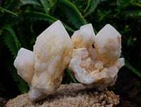 Natural Quartz Crystal Clusters x 6 From Madagascar