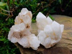 Natural Quartz Crystal Clusters x 6 From Madagascar - Toprock Gemstones and Minerals 