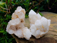 Natural Quartz Crystal Clusters x 6 From Madagascar