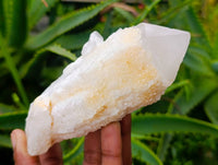Natural Quartz Crystal Clusters x 6 From Madagascar