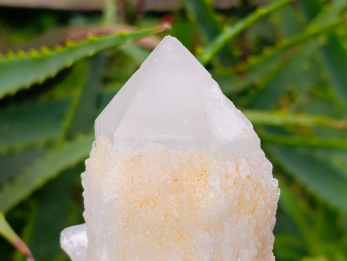 Natural Quartz Crystal Clusters x 6 From Madagascar - Toprock Gemstones and Minerals 