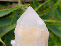 Natural Quartz Crystal Clusters x 6 From Madagascar