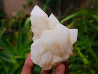 Natural Quartz Crystal Clusters x 6 From Madagascar