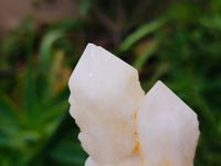 Natural Quartz Crystal Clusters x 6 From Madagascar