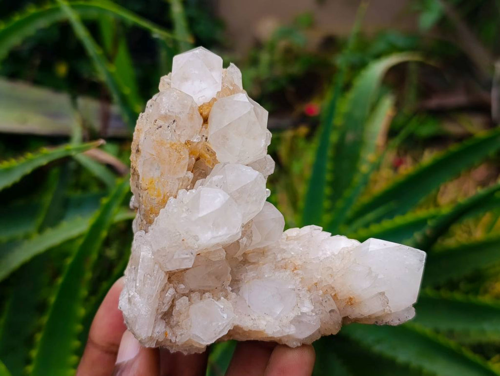 Natural Quartz Crystal Clusters x 6 From Madagascar - Toprock Gemstones and Minerals 