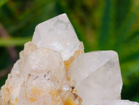 Natural Quartz Crystal Clusters x 6 From Madagascar
