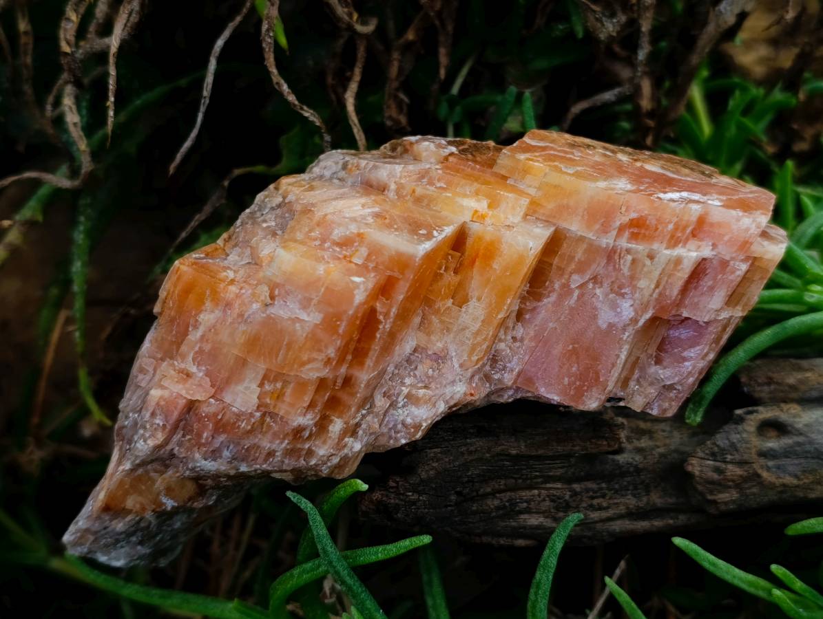 Natural Sunset Orange Calcite Specimens x 2 From Spitzkop, Namibia - Toprock Gemstones and Minerals 