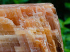 Natural Sunset Orange Calcite Specimens x 2 From Spitzkop, Namibia - Toprock Gemstones and Minerals 