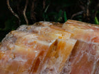 Natural Sunset Orange Calcite Specimens x 2 From Spitzkop, Namibia - Toprock Gemstones and Minerals 