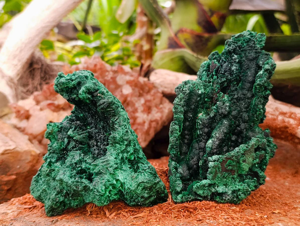 Natural Silky Malachite Specimens x 2 From Kasompe, Congo - Toprock Gemstones and Minerals 