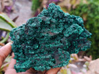 Natural Silky Malachite Specimens x 2 From Kasompe, Congo - Toprock Gemstones and Minerals 