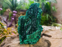 Natural Silky Malachite Specimens x 2 From Kasompe, Congo
