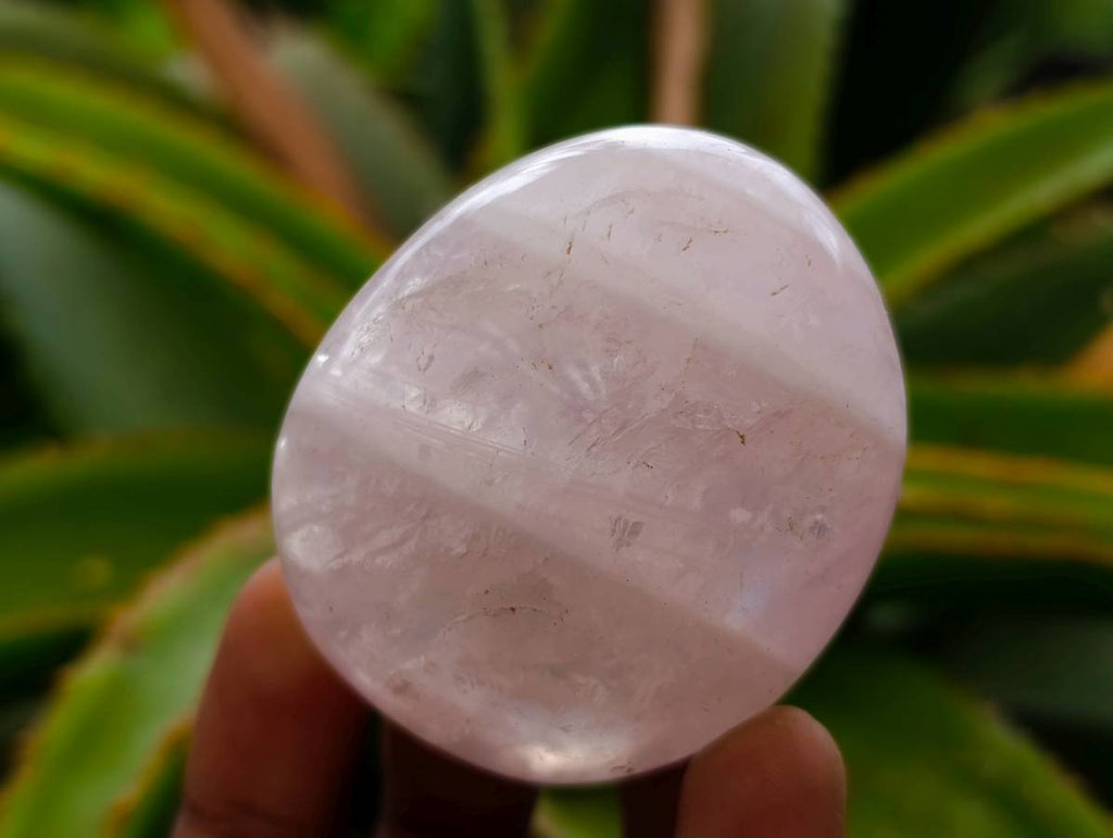 Polished Rose Quartz Palm Stones x 20 From Madagascar - Toprock Gemstones and Minerals 