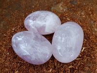 Polished Rose Quartz Palm Stones x 20 From Madagascar