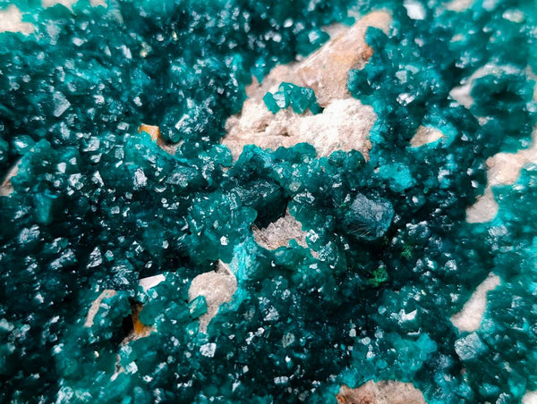 Natural XXL Dioptase On Dolomite Specimen x 1 From Likasi, Congo