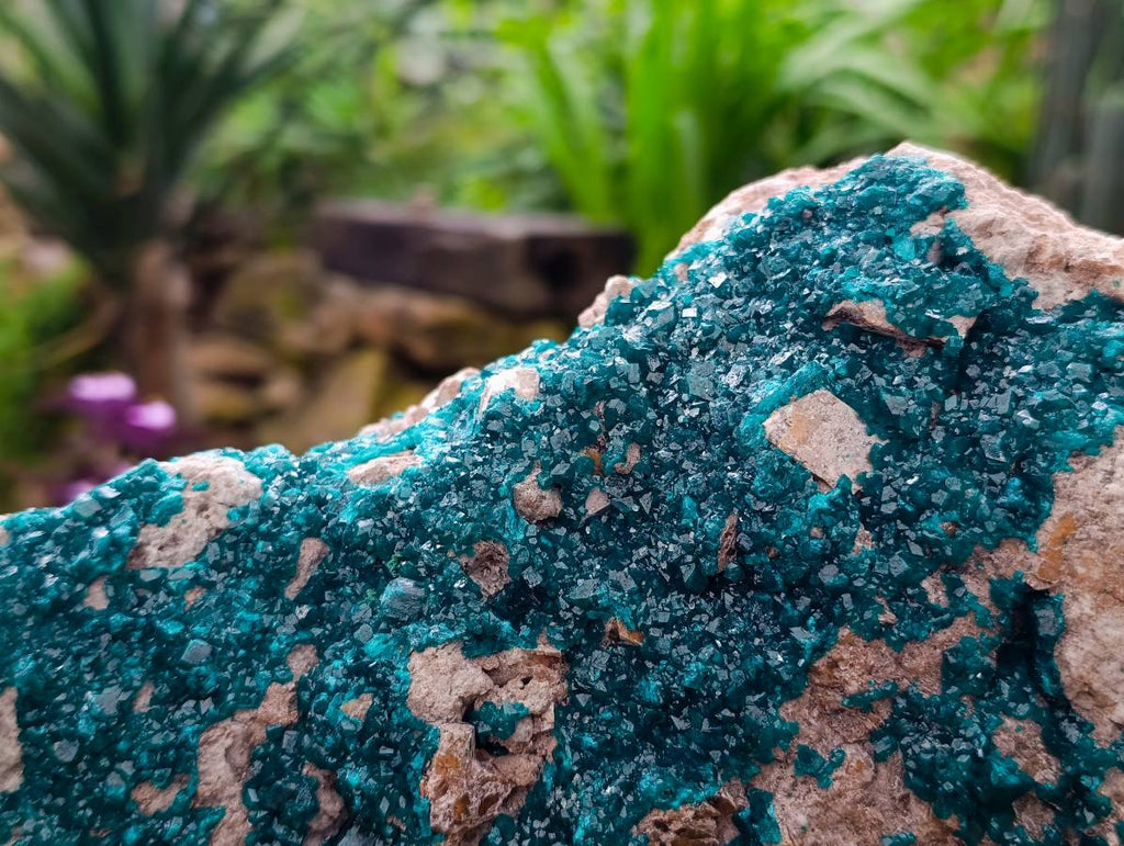 Natural XXL Dioptase On Dolomite Specimen x 1 From Likasi, Congo - Toprock Gemstones and Minerals 