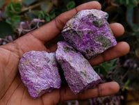 Natural Stichtite Cobbed Specimens x 35 From Barberton, South Africa
