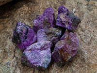 Natural Stichtite Cobbed Specimens x 35 From Barberton, South Africa