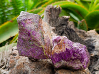 Natural Stichtite Cobbed Specimens x 35 From Barberton, South Africa