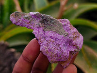 Natural Stichtite Cobbed Specimens x 35 From Barberton, South Africa