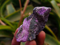 Natural Stichtite Cobbed Specimens x 35 From Barberton, South Africa