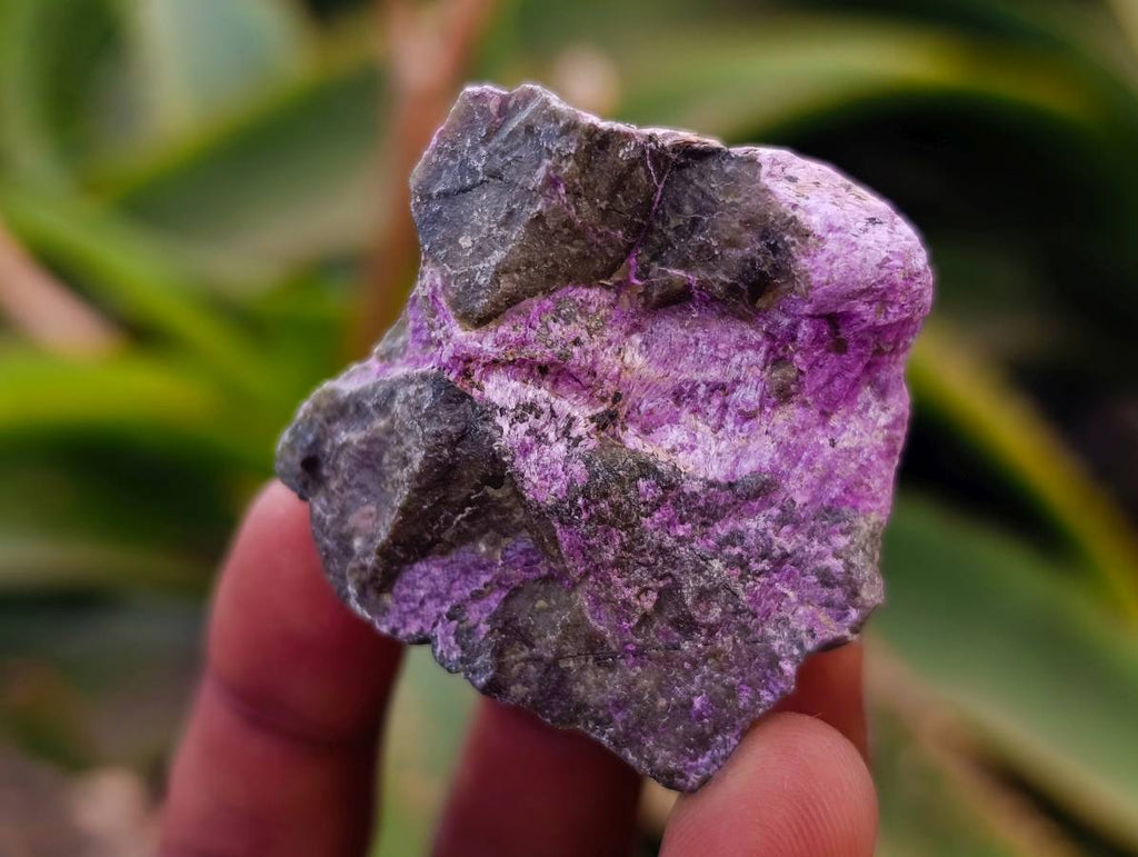Natural Stichtite Cobbed Specimens x 35 From Barberton, South Africa - Toprock Gemstones and Minerals 