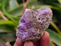 Natural Stichtite Cobbed Specimens x 35 From Barberton, South Africa