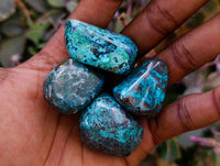 Polished Shattuckite Free Forms x 35 From Congo
