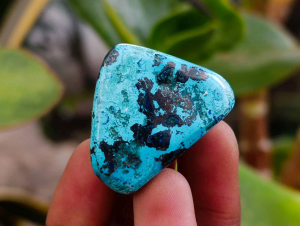 Polished Shattuckite Free Forms x 35 From Congo