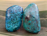 Polished Shattuckite Free Forms x 35 From Congo
