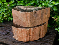 Polished Pair of Petrified Ironwood Bookends x 1 From Gokwe, Zimbabwe