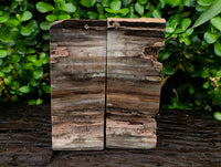 Polished Pair of Petrified Ironwood Bookends x 1 From Gokwe, Zimbabwe