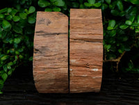 Polished Pair of Petrified Ironwood Bookends x 1 From Gokwe, Zimbabwe
