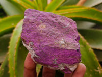 Natural Metallic Purpurite Specimens x 6 From Erongo, Namibia
