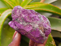 Natural Metallic Purpurite Specimens x 6 From Erongo, Namibia