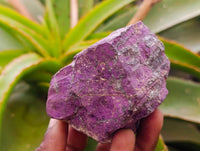 Natural Metallic Purpurite Specimens x 6 From Erongo, Namibia
