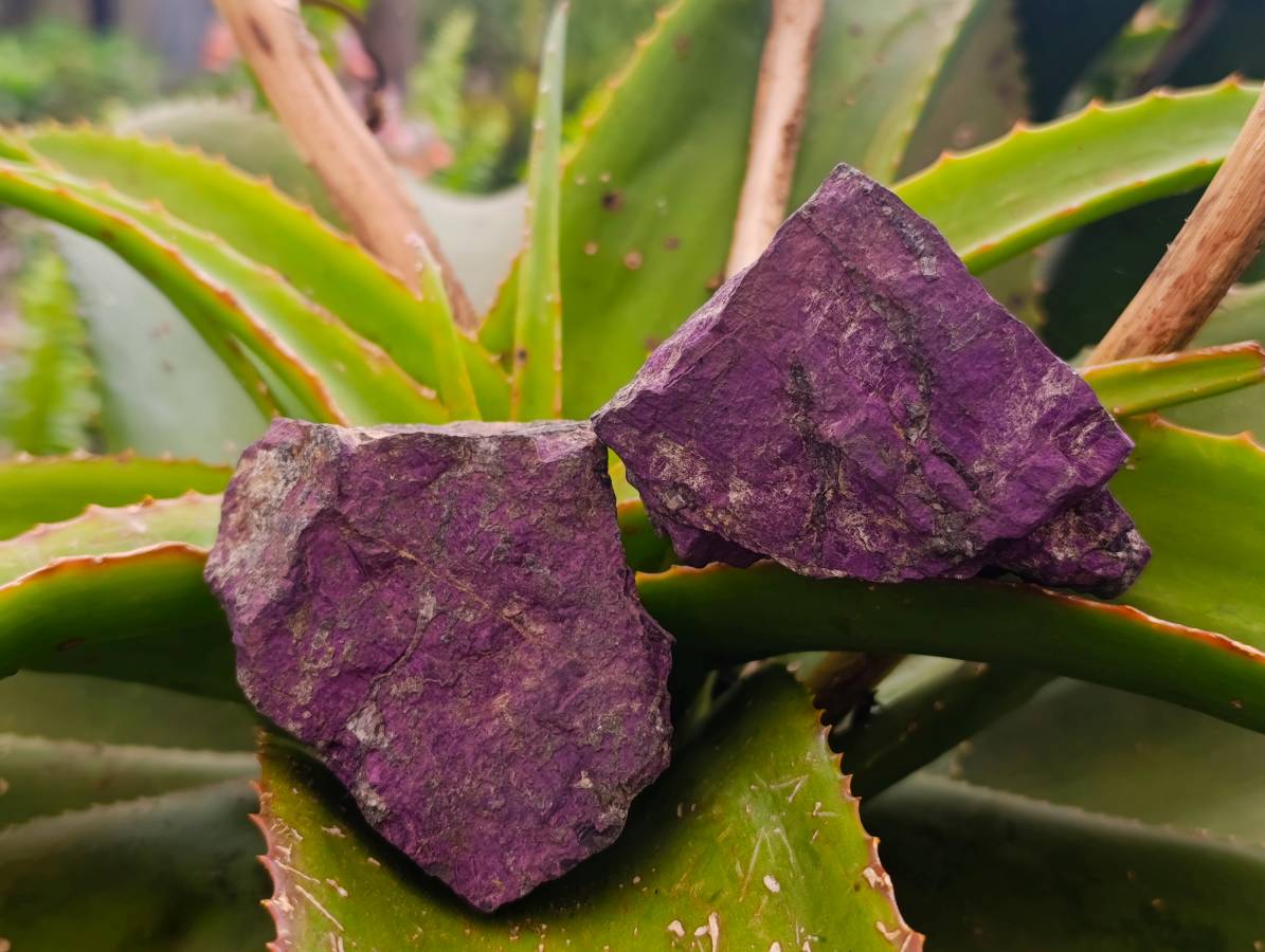Natural Metallic Purpurite Specimens x 6 From Erongo, Namibia - Toprock Gemstones and Minerals 