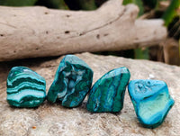 Polished Malacolla Free Forms x 35 From Kulukuluku, Congo