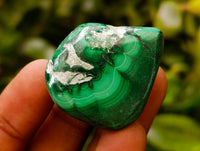 Polished Malacolla Free Forms x 35 From Kulukuluku, Congo