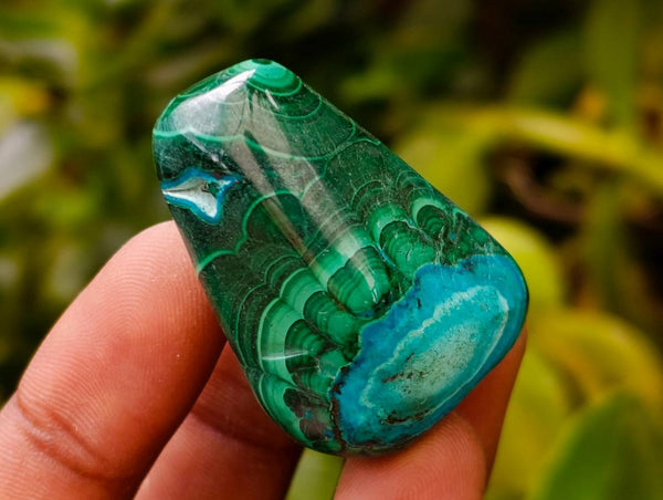 Polished Malacolla Free Forms x 35 From Kulukuluku, Congo